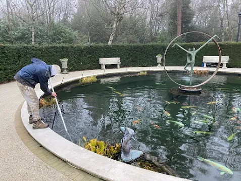 Pond Cleaning in London – Professional Care for Healthy Urban Ponds
